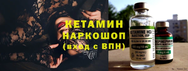 дживик Няндома