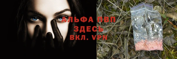 дживик Няндома