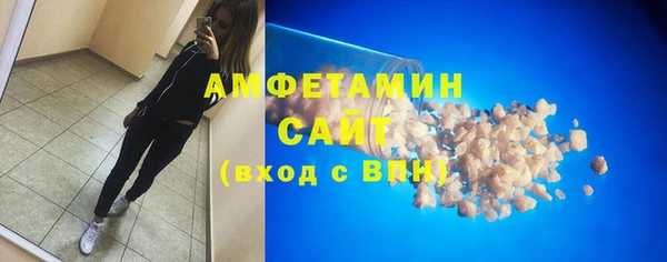 дживик Няндома