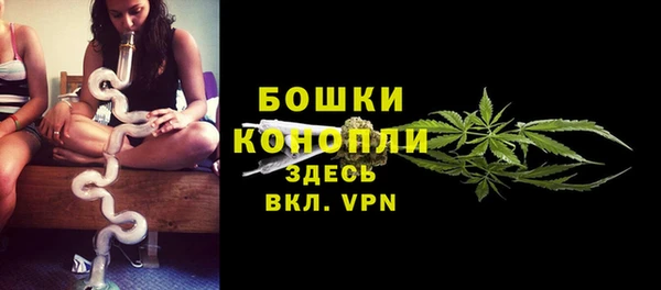 дживик Няндома