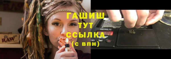дживик Няндома