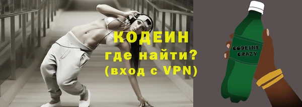 дживик Няндома