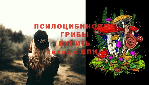 эйфоретик Нязепетровск