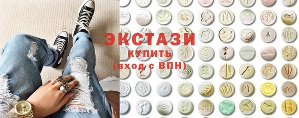 дживик Няндома