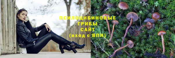 прущий лед Нягань