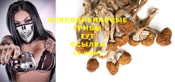 прущий лед Нягань