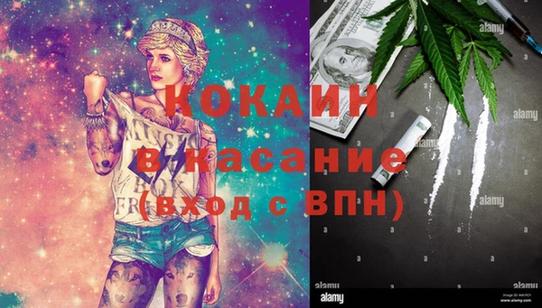 дживик Няндома