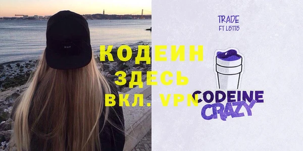 дживик Няндома
