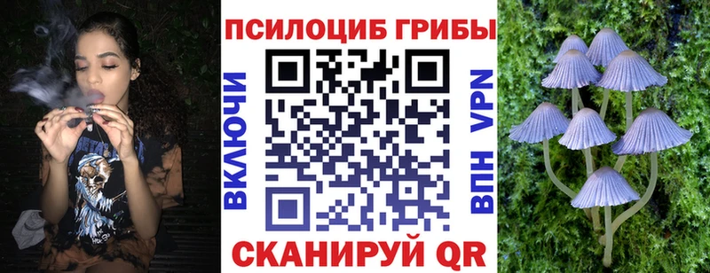 Псилоцибиновые грибы MAGIC MUSHROOMS  как найти закладки  МЕГА сайт  Полярные Зори 