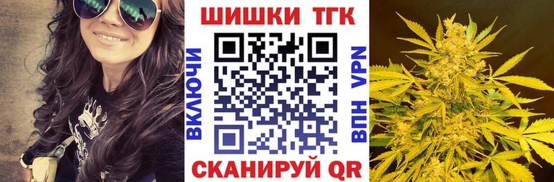 Бошки Шишки план Полярные Зори